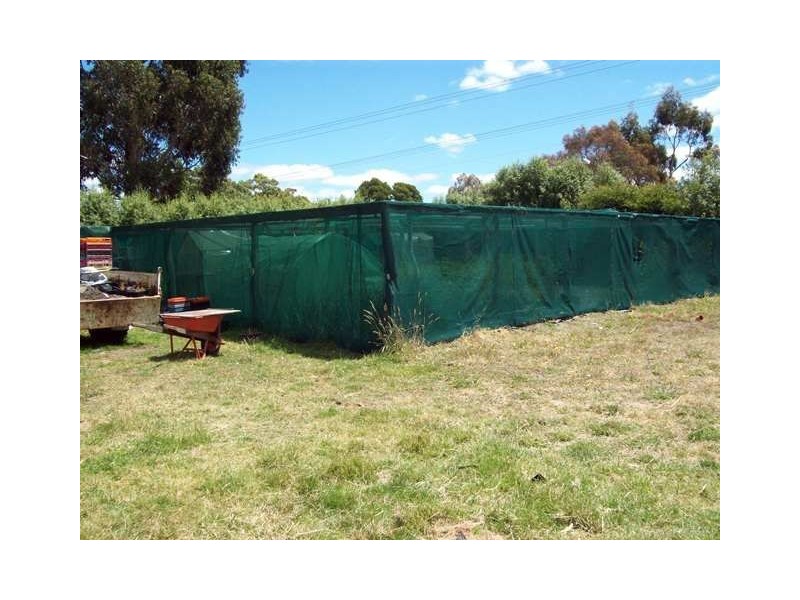 2 Christine Avenue, Devon Hills TAS 7300