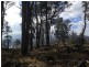 1 Marlborough Road, Bronte Park TAS 7140