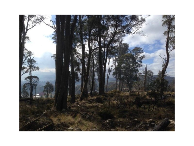 1 Marlborough Road, Bronte Park TAS 7140