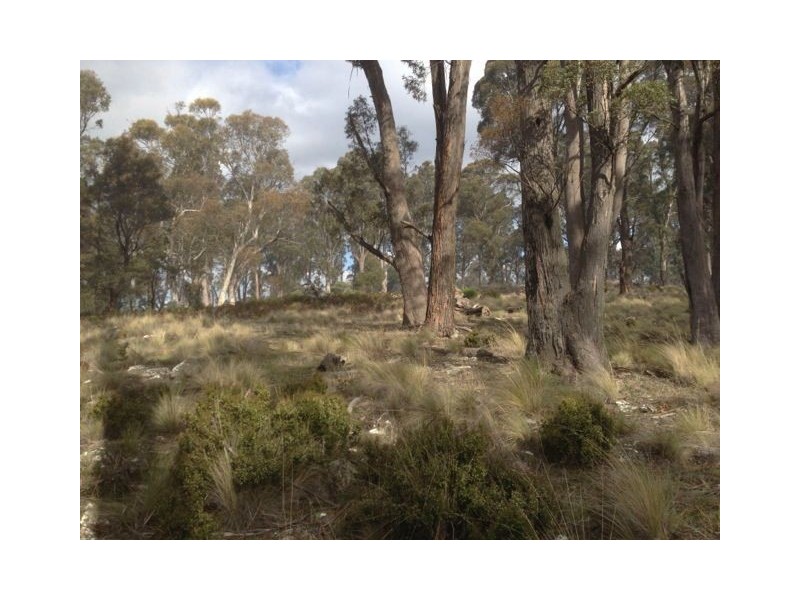 1 Marlborough Road, Bronte Park TAS 7140