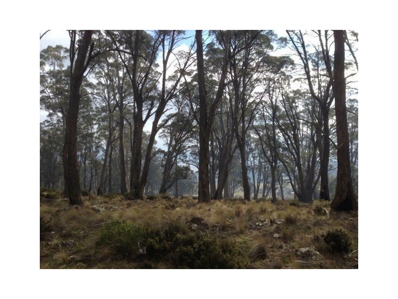 1 Marlborough Road, Bronte Park TAS 7140