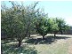 96 Conara Road, Conara TAS 7211