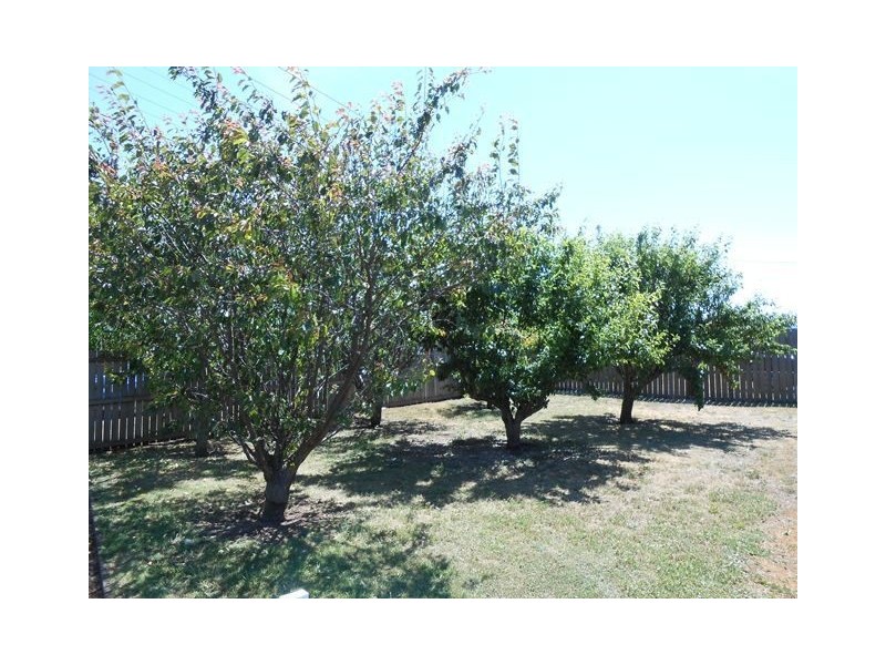 96 Conara Road, Conara TAS 7211