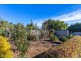 12 Lewis Street, Longford TAS 7301