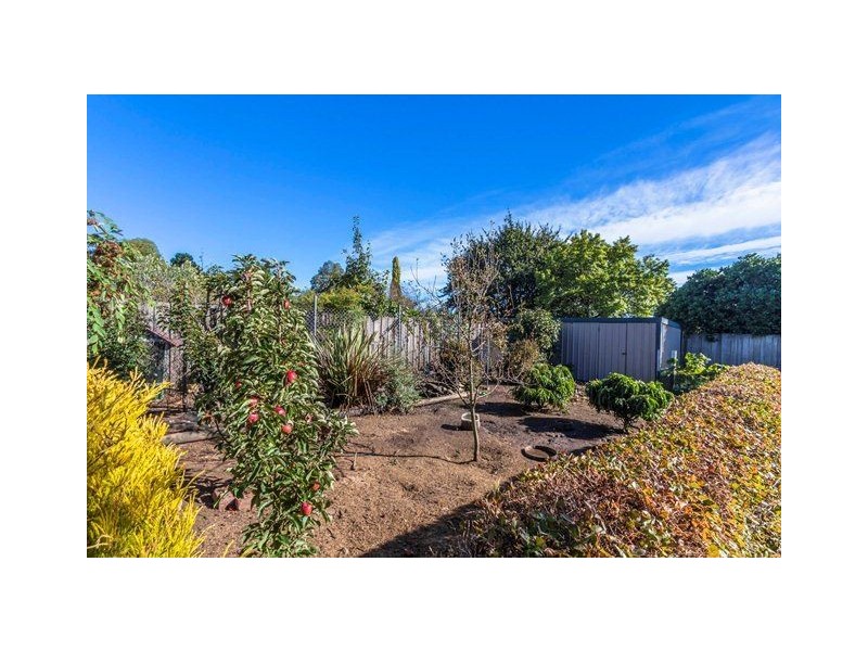 12 Lewis Street, Longford TAS 7301