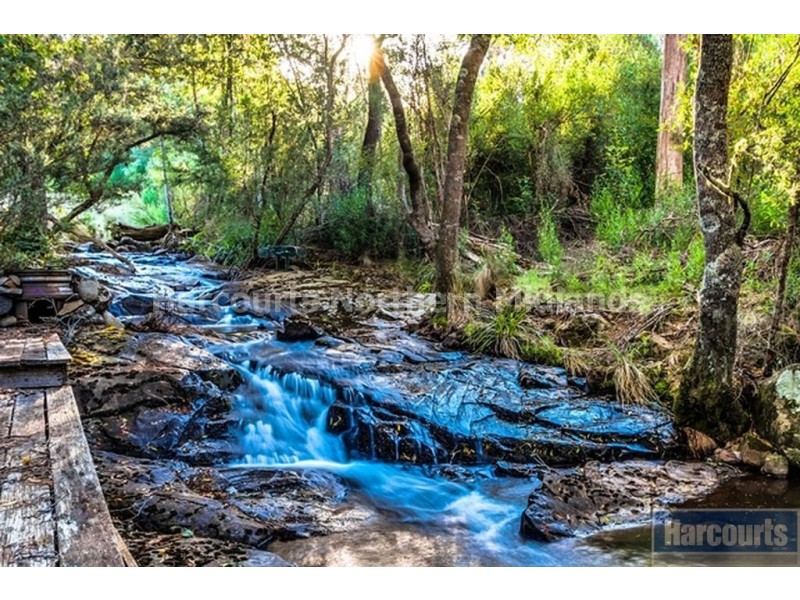 1278 Lake River Road, Cressy TAS 7302