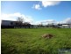 45 Main Road, Perth TAS 7300