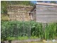39 Church Street, Ross TAS 7209
