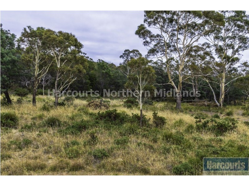 220A Norwich Drive, Longford TAS 7301