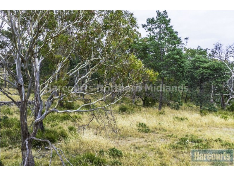 220A Norwich Drive, Longford TAS 7301