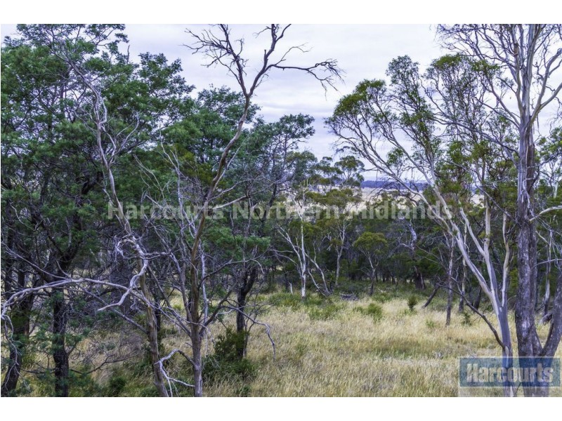 220A Norwich Drive, Longford TAS 7301