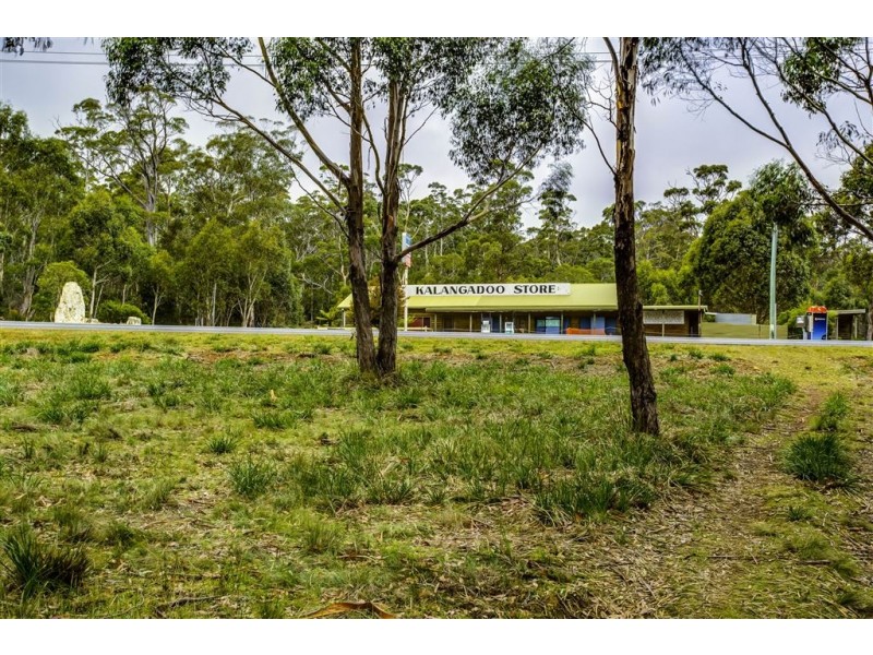 4 Brewis Place, Lake Leake TAS 7210