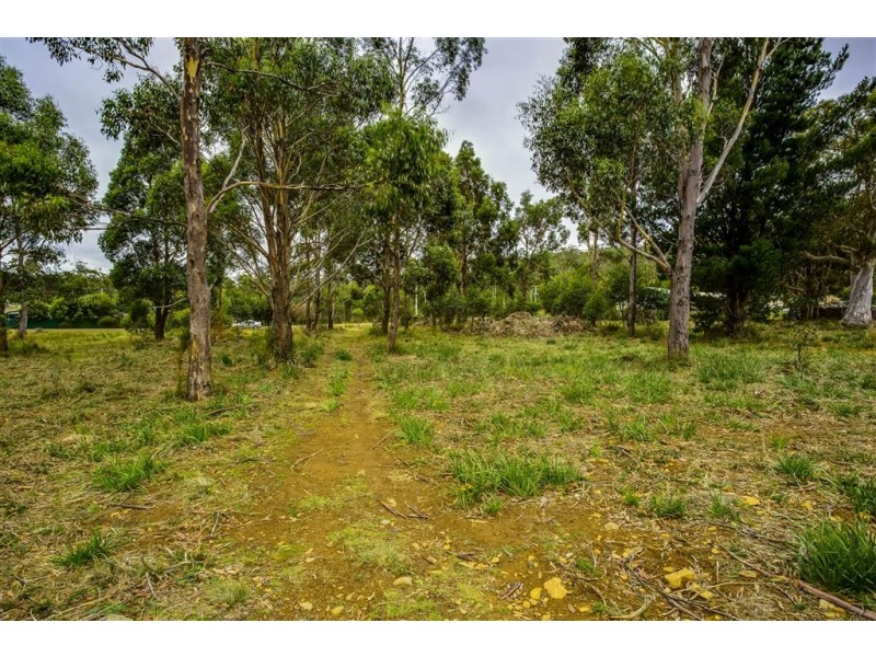 4 Brewis Place, Lake Leake TAS 7210