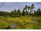 4 Brewis Place, Lake Leake TAS 7210