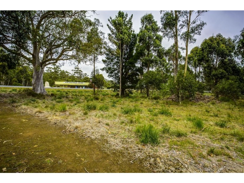 4 Brewis Place, Lake Leake TAS 7210