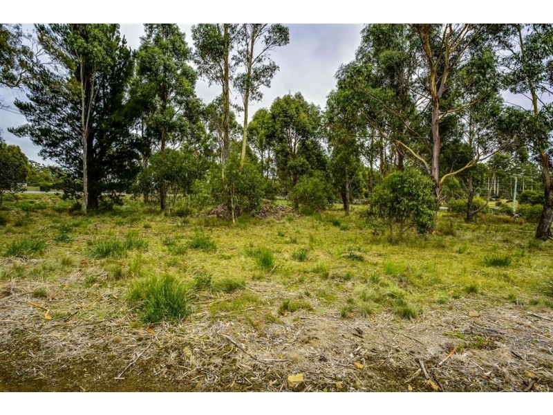 4 Brewis Place, Lake Leake TAS 7210