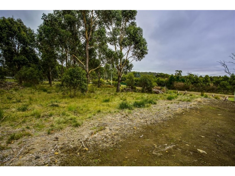 4 Brewis Place, Lake Leake TAS 7210