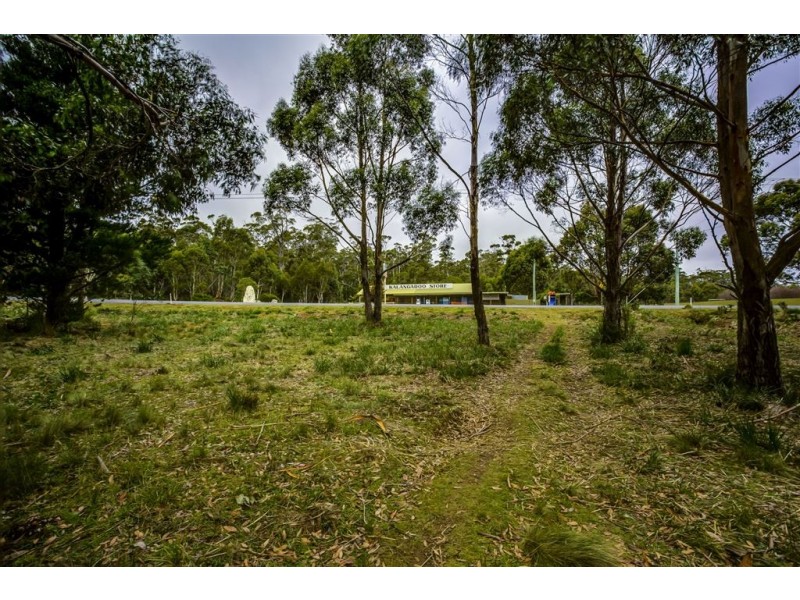 4 Brewis Place, Lake Leake TAS 7210