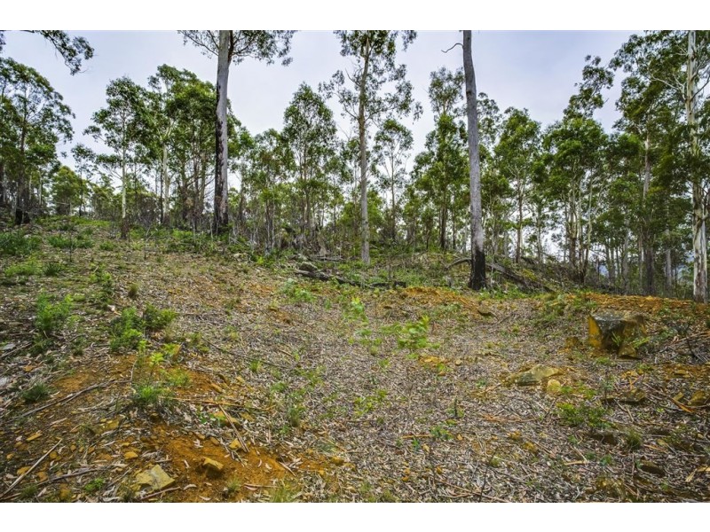 18 Little Spit Road, Lake Leake TAS 7210