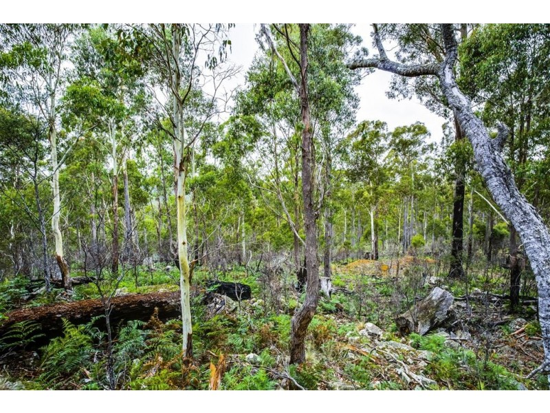 18 Little Spit Road, Lake Leake TAS 7210