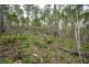 18 Little Spit Road, Lake Leake TAS 7210
