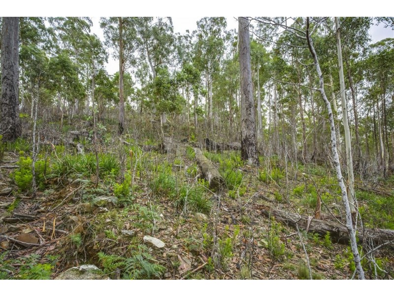 18 Little Spit Road, Lake Leake TAS 7210