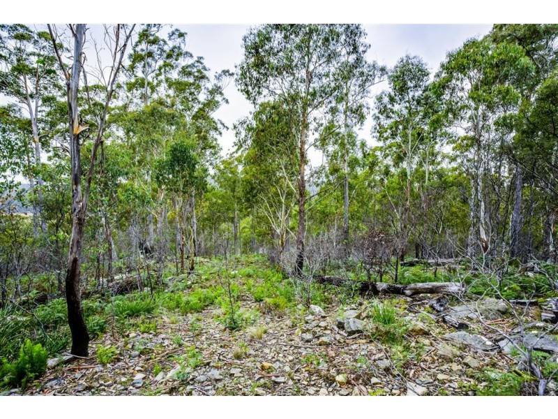 18 Little Spit Road, Lake Leake TAS 7210