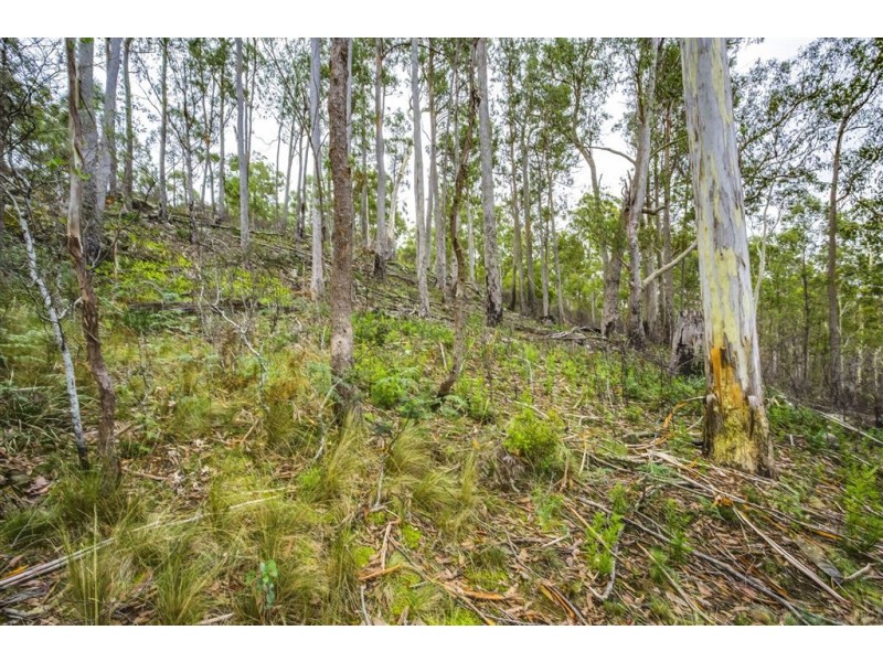 18 Little Spit Road, Lake Leake TAS 7210