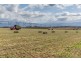 790 Cressy Road, Cressy TAS 7302