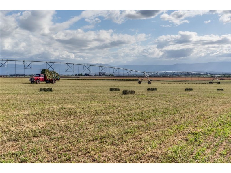 790 Cressy Road, Cressy TAS 7302