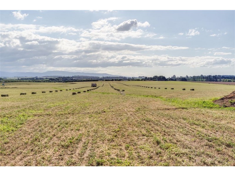 790 Cressy Road, Cressy TAS 7302