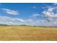 790 Cressy Road, Cressy TAS 7302