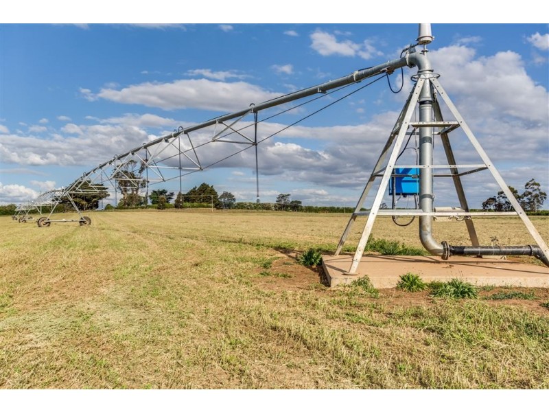 790 Cressy Road, Cressy TAS 7302