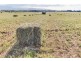 790 Cressy Road, Cressy TAS 7302