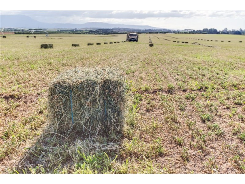 790 Cressy Road, Cressy TAS 7302