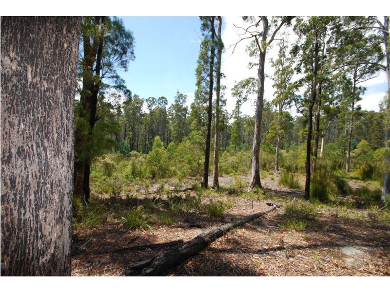 0 Irish Town Road, St Marys TAS 7215