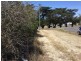 180 Bridge St, Campbell Town TAS 7210