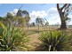 13082 Midlands Highway, Cleveland TAS 7211