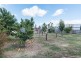 731 Powranna Road, Cressy TAS 7302