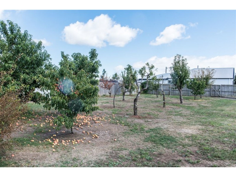731 Powranna Road, Cressy TAS 7302