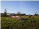 19 Blenheim Street, Avoca TAS 7213