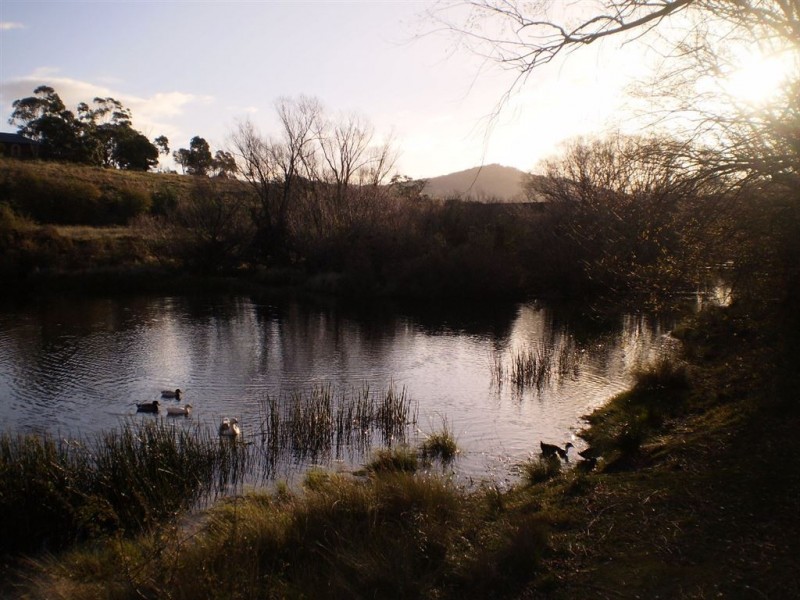 19 Blenheim Street, Avoca TAS 7213