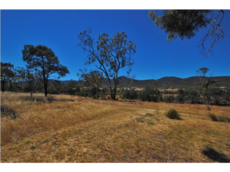 Lot 4 Leona Road, Avoca TAS 7213