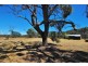 Lot 4 Leona Road, Avoca TAS 7213
