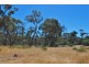 Lot 4 Leona Road, Avoca TAS 7213