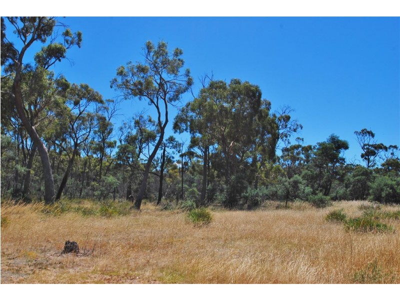Lot 4 Leona Road, Avoca TAS 7213