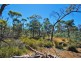 Lot 4 Leona Road, Avoca TAS 7213