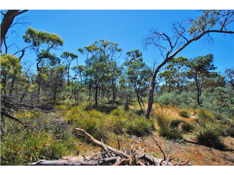 Lot 4 Leona Road, Avoca TAS 7213