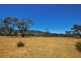 Lot 4 Leona Road, Avoca TAS 7213