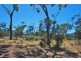 Lot 4 Leona Road, Avoca TAS 7213